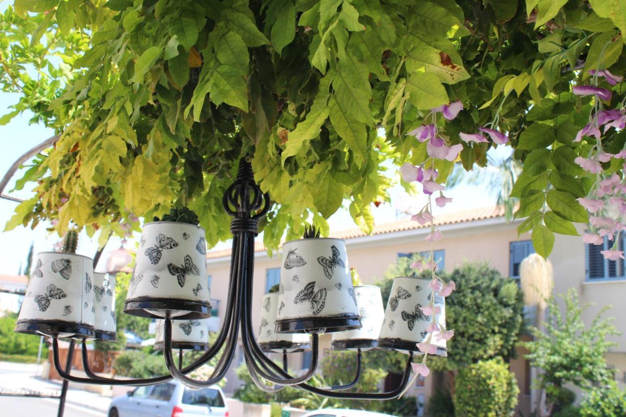 Ivoton Home Paphos Exteriér fotografie
